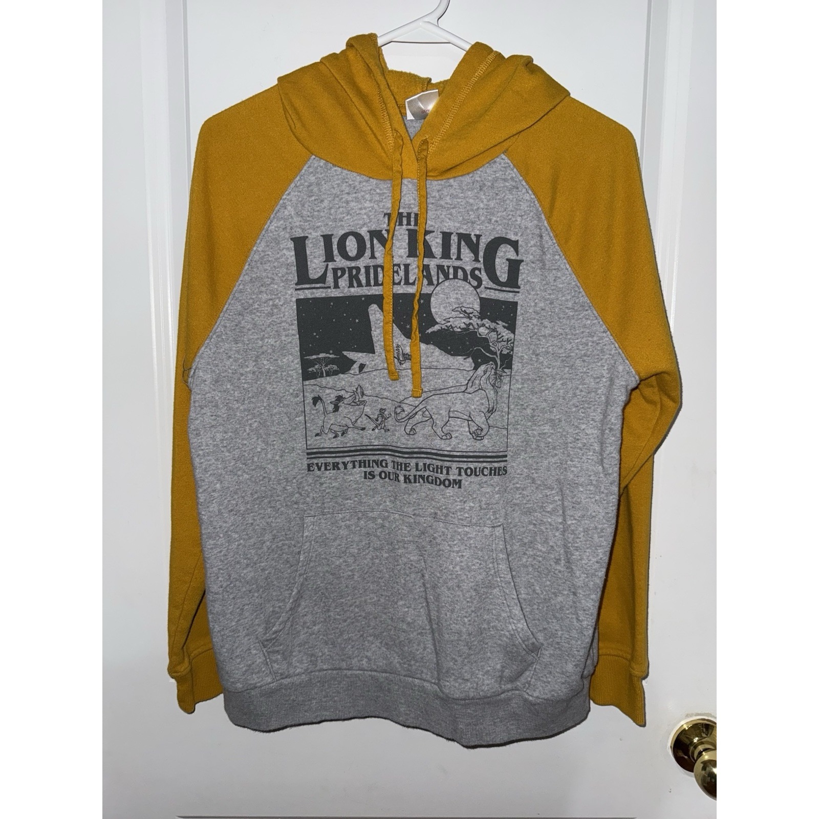 Lion King Disney Vintage Pride Land Sweatshirt Hoodie Size Medium Unisex